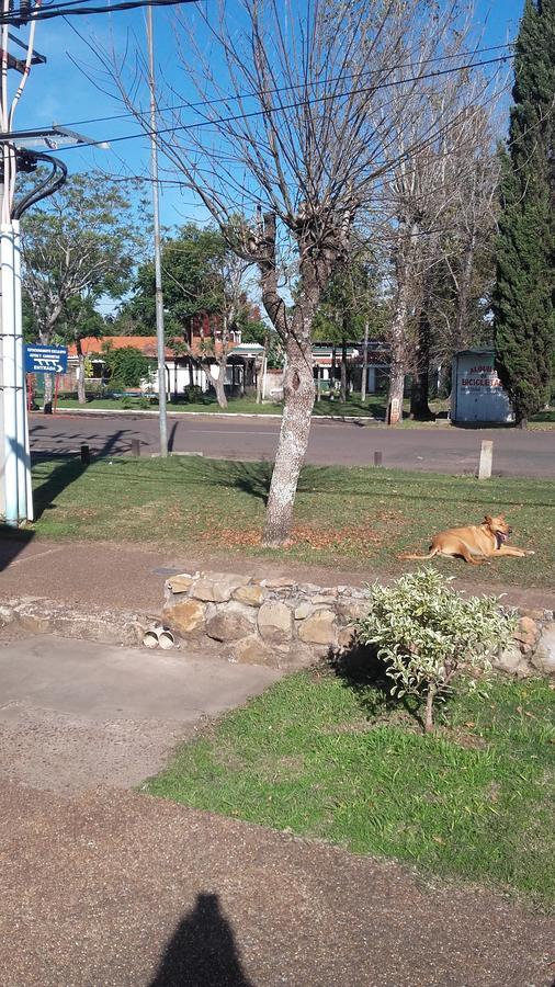 Brisas Del Rio Apart Hotel Termas del Daymán Esterno foto